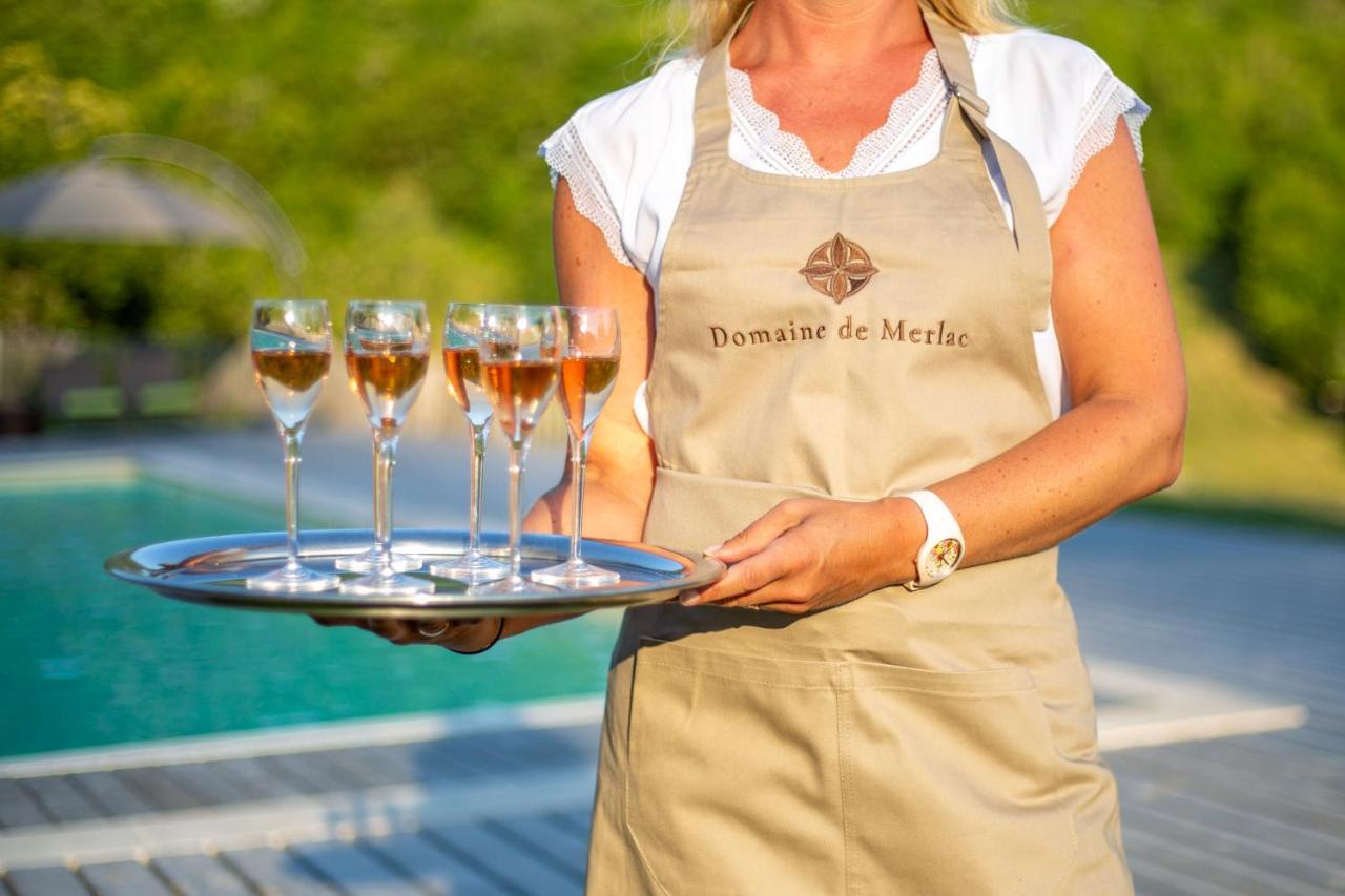 Domaine De Merlac Rieussec 外观 照片