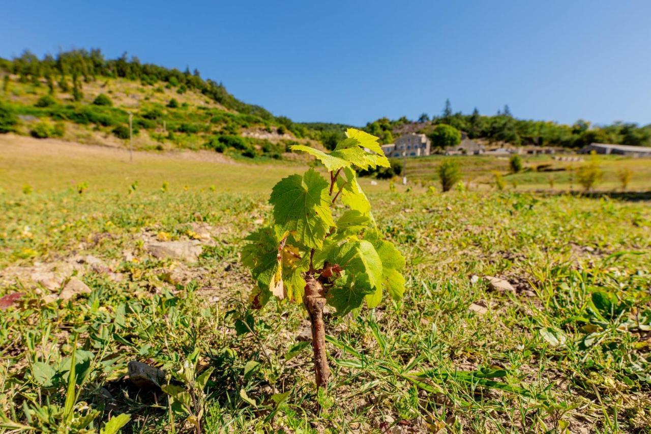 Domaine De Merlac Rieussec 外观 照片